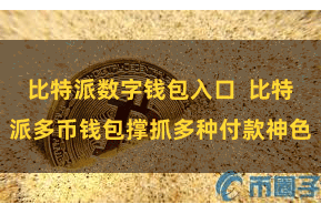 比特派数字钱包入口  比特派多币钱包撑抓多种付款神色