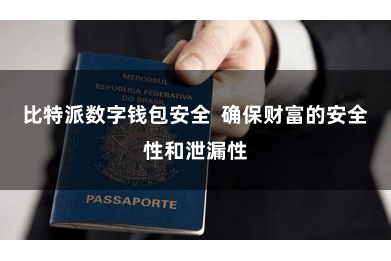 比特派数字钱包安全  确保财富的安全性和泄漏性