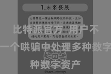 比特派官方  用户不错在一个哄骗中处理多种数字资产