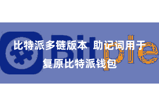 比特派多链版本  助记词用于复原比特派钱包