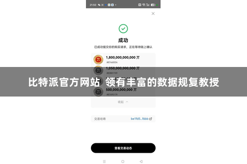 比特派官方网站  领有丰富的数据规复教授