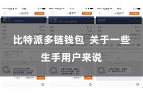 比特派多链钱包  关于一些生手用户来说