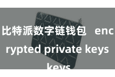 比特派数字链钱包 encrypted private keys