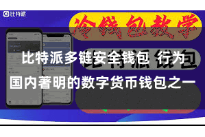 比特派多链安全钱包  行为国内著明的数字货币钱包之一