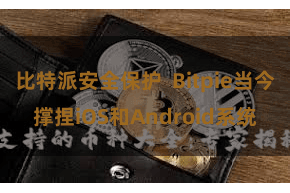 比特派安全保护  Bitpie当今撑捏iOS和Android系统