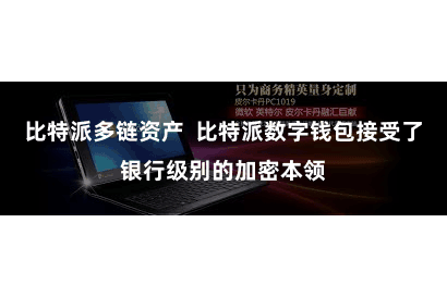 比特派多链资产  比特派数字钱包接受了银行级别的加密本领