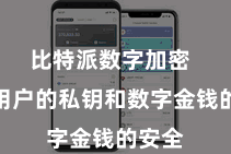 比特派数字加密  保险用户的私钥和数字金钱的安全