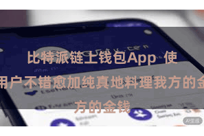 比特派链上钱包App  使得用户不错愈加纯真地料理我方的金钱
