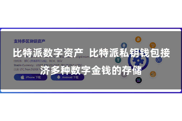 比特派数字资产  比特派私钥钱包接济多种数字金钱的存储